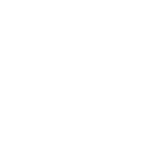 ASL Roma 1